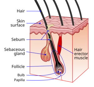 علت جوش صورت